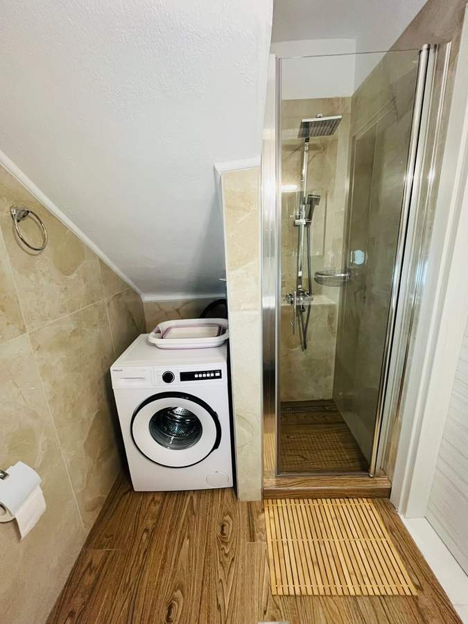 Bathroom 1 Shower and Washing Machine